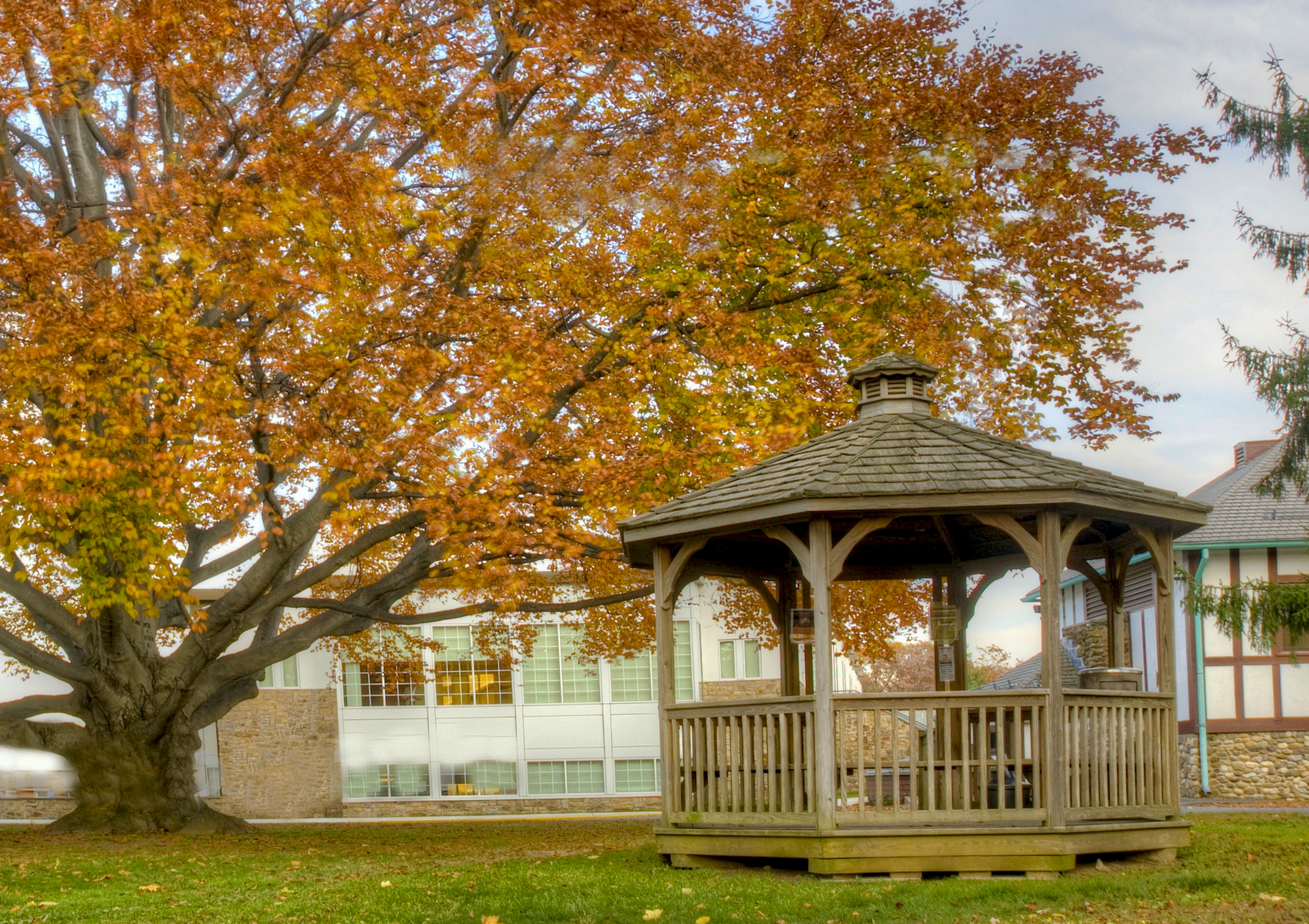 gazebo_crop_0398